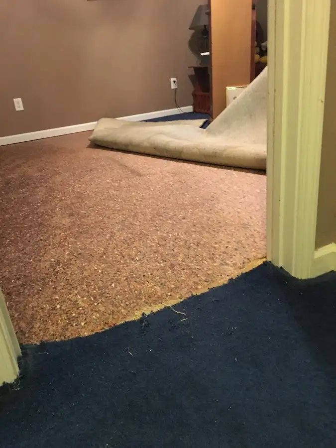 Carpet pad removal revealing water damage during Drying & Dehumidification in Milltown