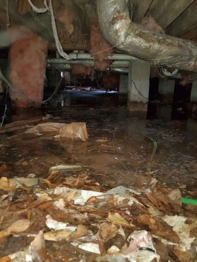 Crawl space flood assessment for Leak Detection & Repair in Milltown